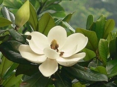 不銹鋼控制箱體